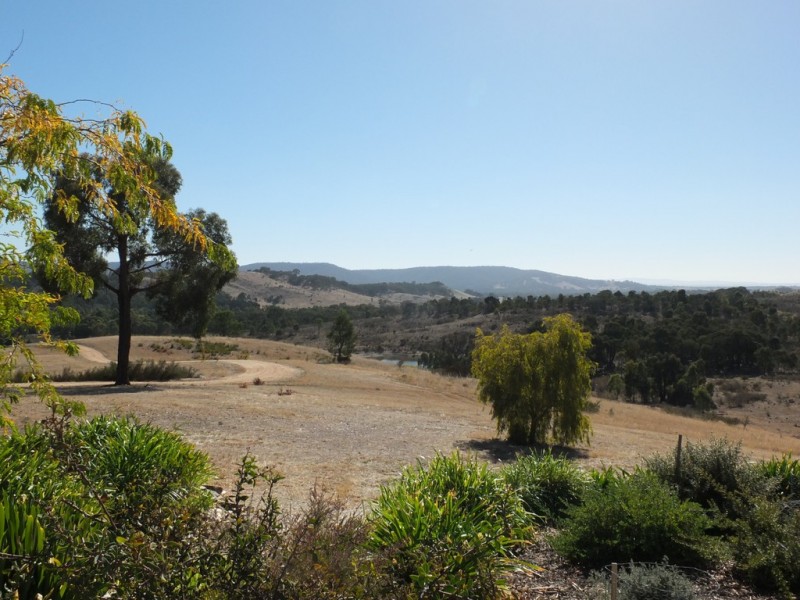 155 Wild Dog Track, Warrenmang VIC 3478