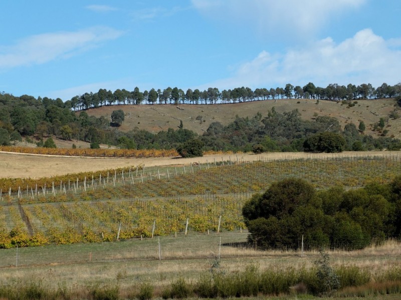 155 Wild Dog Track, Warrenmang VIC 3478