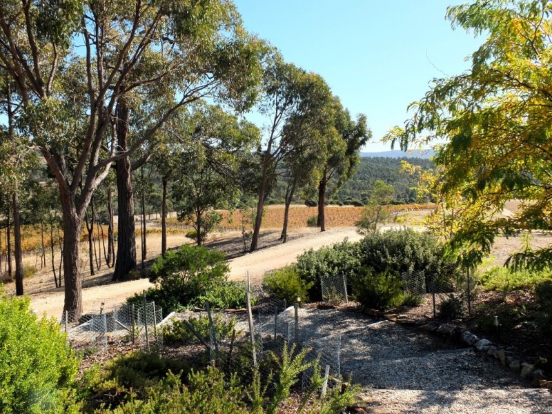 155 Wild Dog Track, Warrenmang VIC 3478