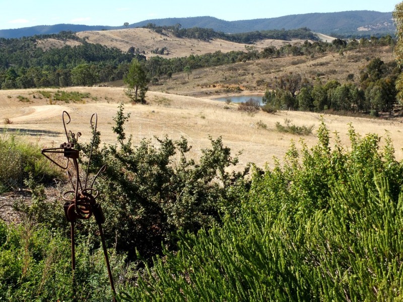 155 Wild Dog Track, Warrenmang VIC 3478