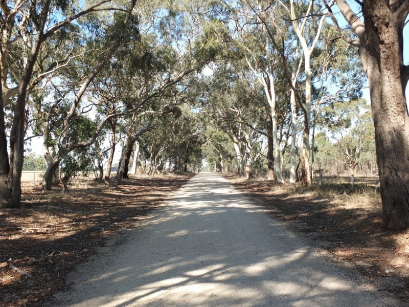 72 Breadys Lane, Amphitheatre VIC 3468