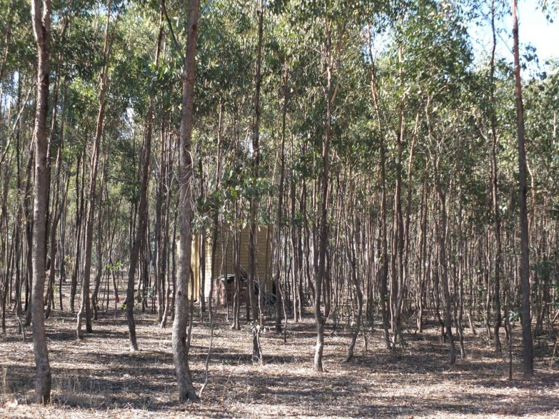 72 Breadys Lane, Amphitheatre VIC 3468