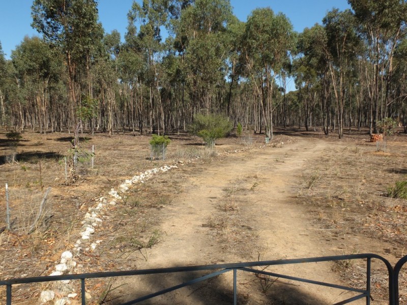 72 Breadys Lane, Amphitheatre VIC 3468