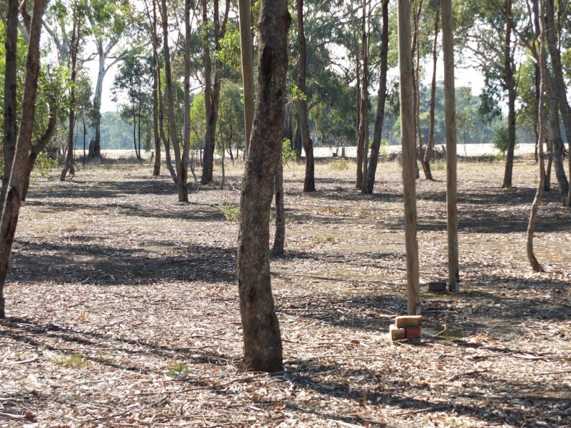 72 Breadys Lane, Amphitheatre VIC 3468