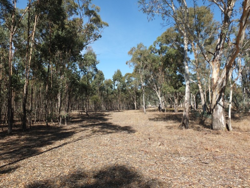 72 Breadys Lane, Amphitheatre VIC 3468