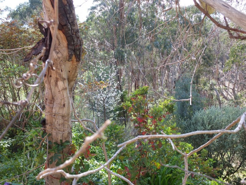 12 Emery Track, Glenpatrick VIC 3469