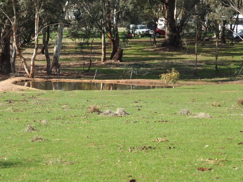 71 North Street, Avoca VIC 3467