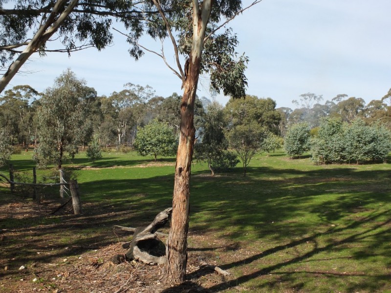 71 North Street, Avoca VIC 3467