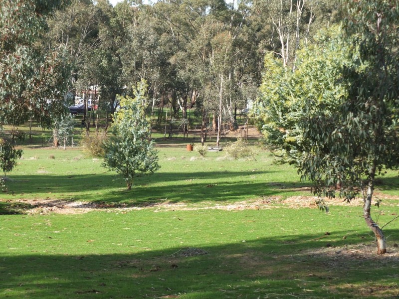 71 North Street, Avoca VIC 3467