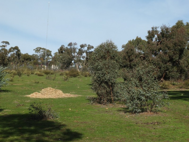 71 North Street, Avoca VIC 3467