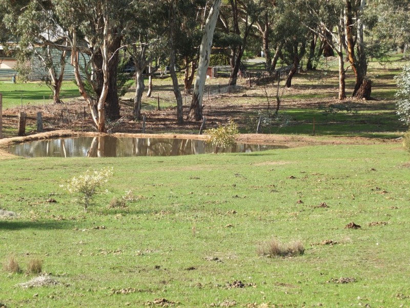 71 North Street, Avoca VIC 3467