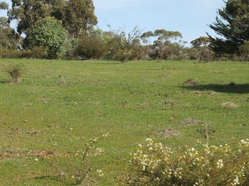 71 North Street, Avoca VIC 3467