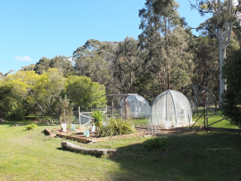 614 Nowhere Creek Rd, Nowhere Creek VIC 3469