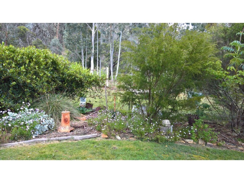 614 Nowhere Creek Rd, Nowhere Creek VIC 3469