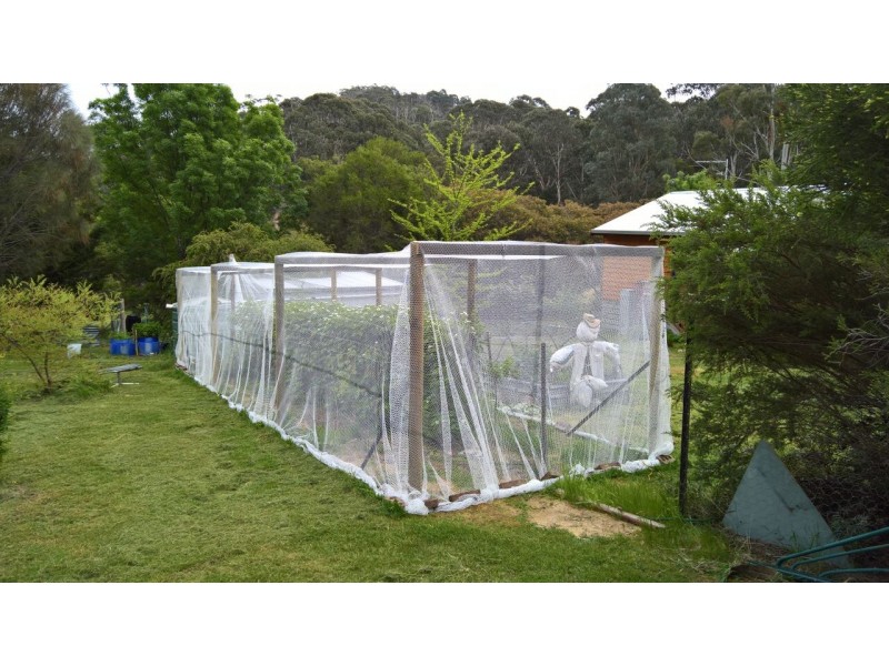 614 Nowhere Creek Rd, Nowhere Creek VIC 3469