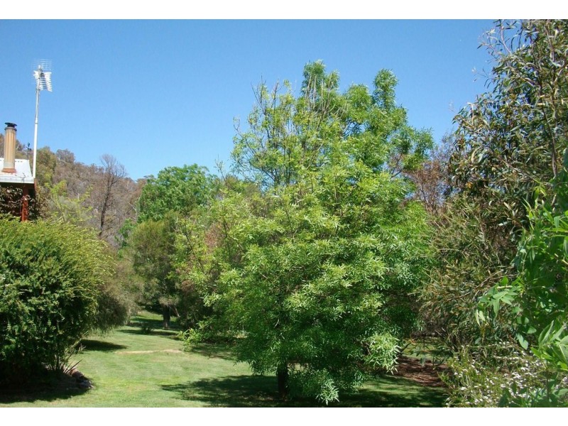 614 Nowhere Creek Rd, Nowhere Creek VIC 3469