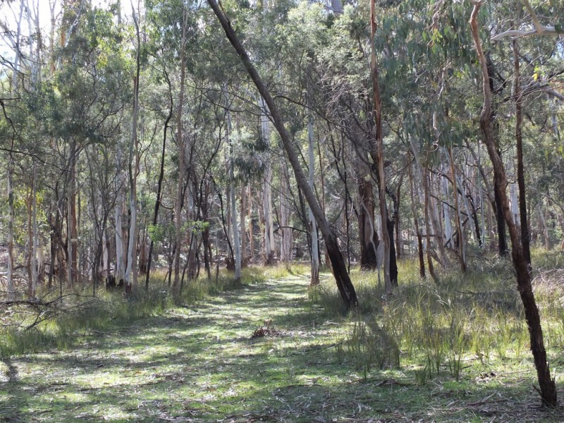 614 Nowhere Creek Rd, Nowhere Creek VIC 3469
