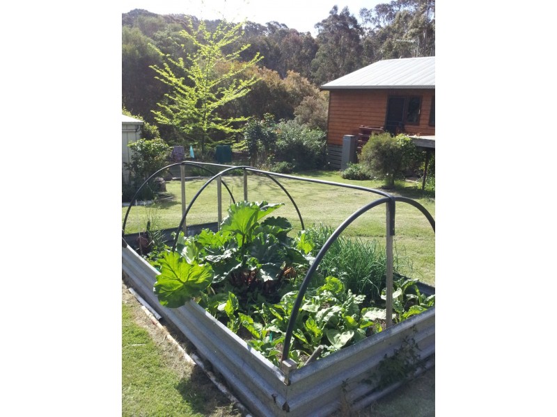 614 Nowhere Creek Rd, Nowhere Creek VIC 3469