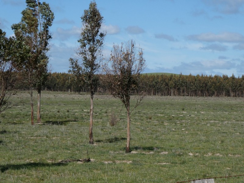 583 Eurambeen-Streatham Rd, Beaufort VIC 3373