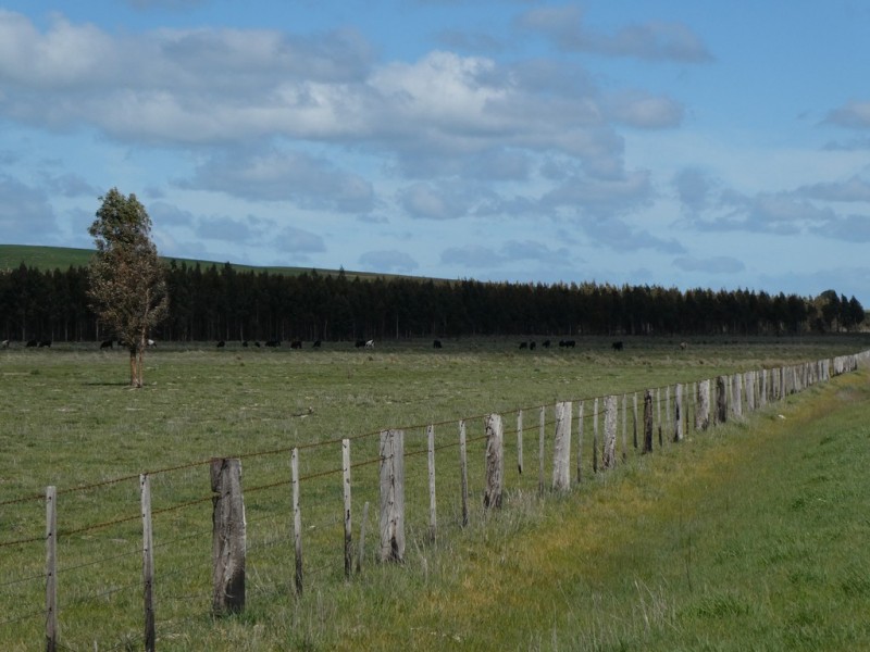 583 Eurambeen-Streatham Rd, Beaufort VIC 3373