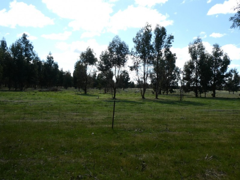 583 Eurambeen-Streatham Rd, Beaufort VIC 3373