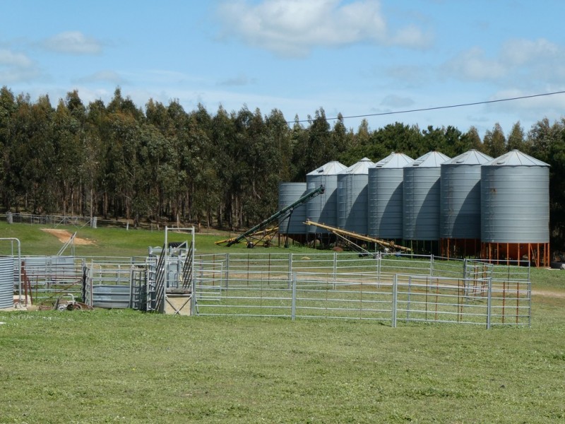 583 Eurambeen-Streatham Rd, Beaufort VIC 3373