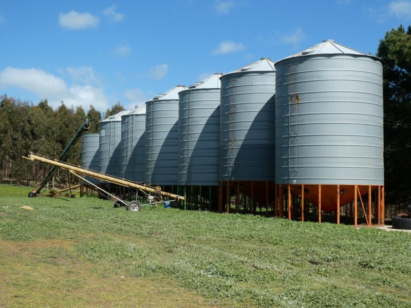 583 Eurambeen-Streatham Rd, Beaufort VIC 3373