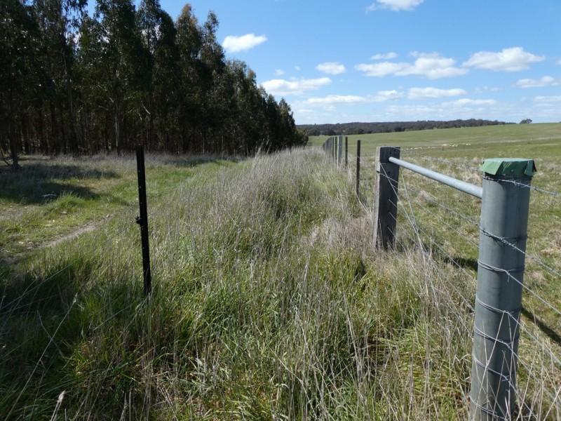 583 Eurambeen-Streatham Rd, Beaufort VIC 3373