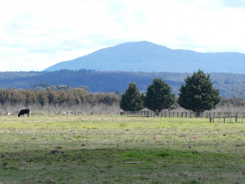 75 Langi Kal Kal Road, Trawalla VIC 3373