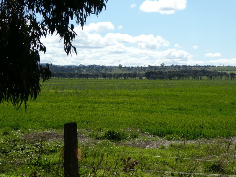 75 Langi Kal Kal Road, Trawalla VIC 3373