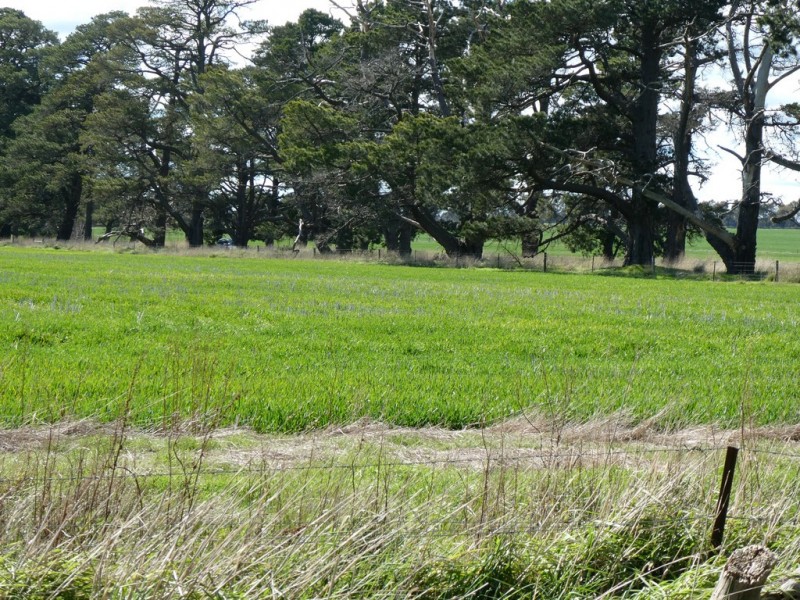 75 Langi Kal Kal Road, Trawalla VIC 3373