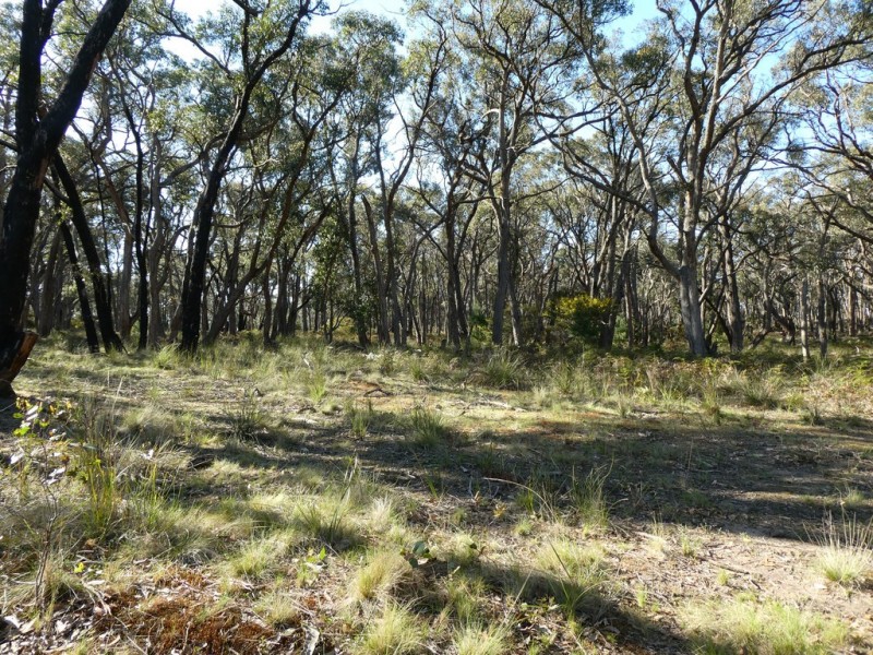 Lot 5 Paynes Bridge Road, Dereel VIC 3352