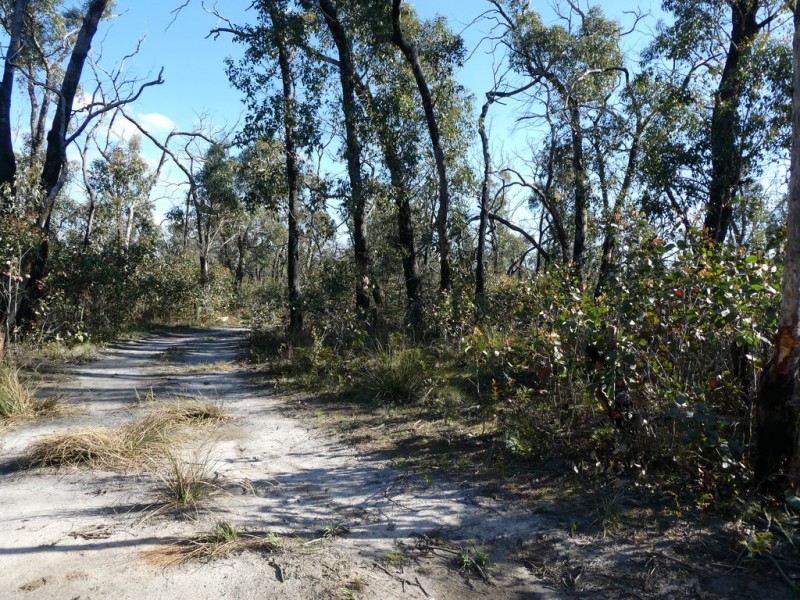 Lot 5 Paynes Bridge Road, Dereel VIC 3352