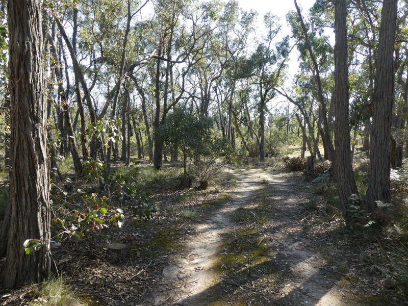 Lot 5 Paynes Bridge Road, Dereel VIC 3352