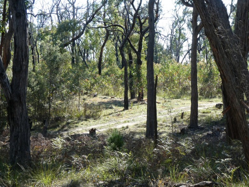 Lot 5 Paynes Bridge Road, Dereel VIC 3352