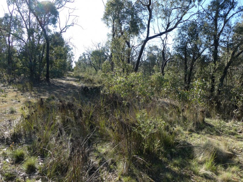 Lot 5 Paynes Bridge Road, Dereel VIC 3352