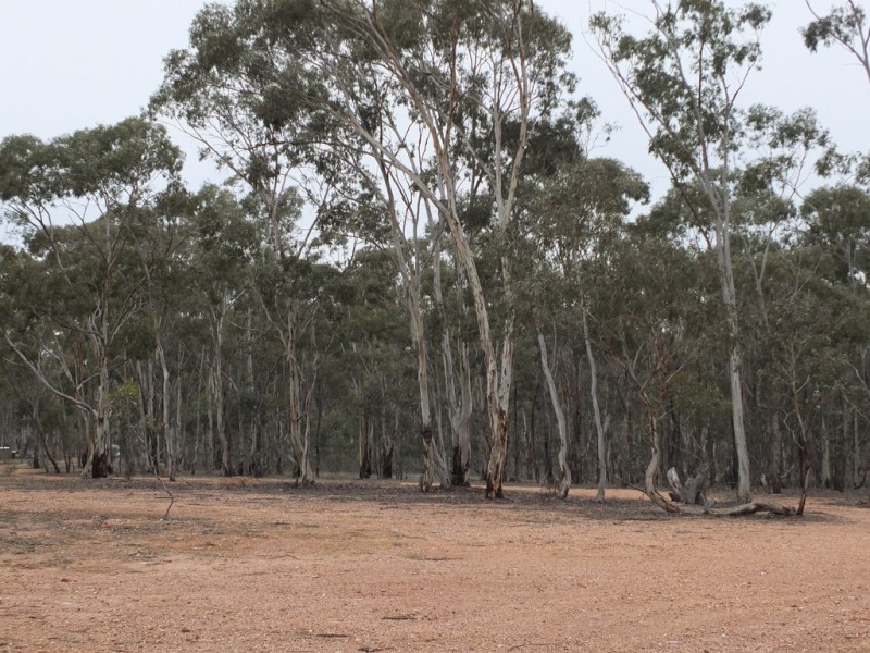 22 and 23 Sims Lane, Homebush VIC 3465