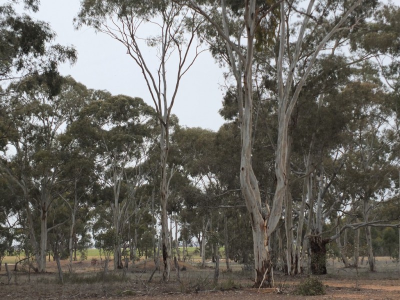 22 and 23 Sims Lane, Homebush VIC 3465
