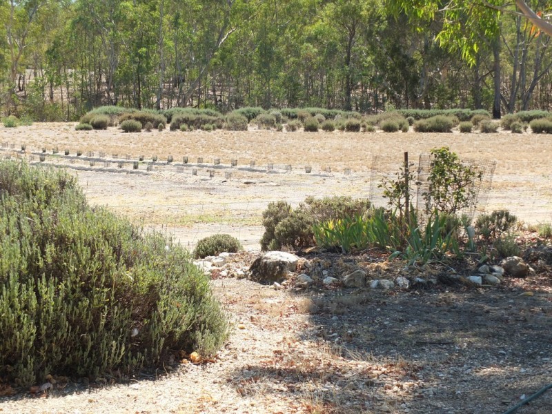 38 Marshall Lane, Barkly VIC 3384