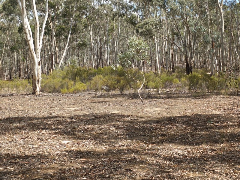 207 Woodstock Road, Lamplough VIC 3352