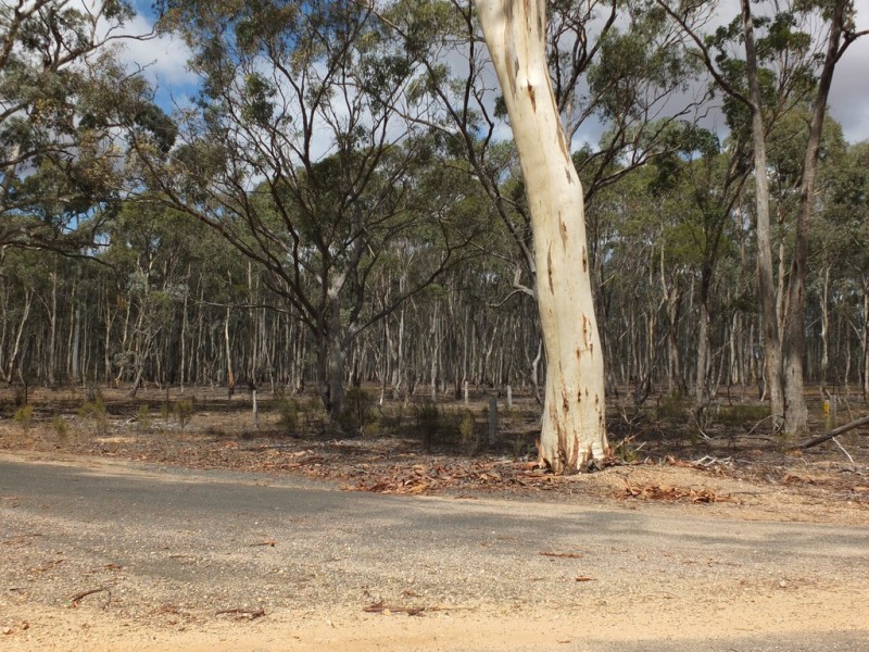 207 Woodstock Road, Lamplough VIC 3352