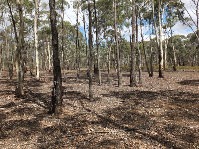 207 Woodstock Road, Lamplough VIC 3352