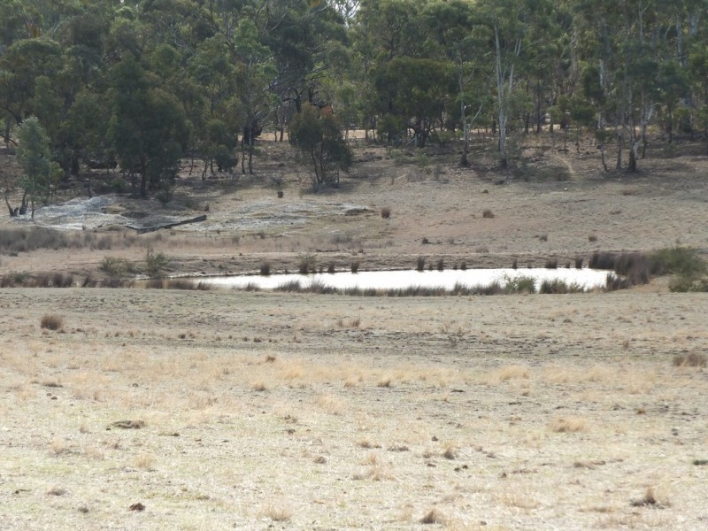 14 and 14A Johnsons Gully Rd, Barkly VIC 3384