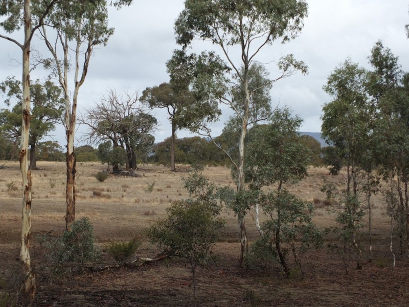 14 and 14A Johnsons Gully Rd, Barkly VIC 3384