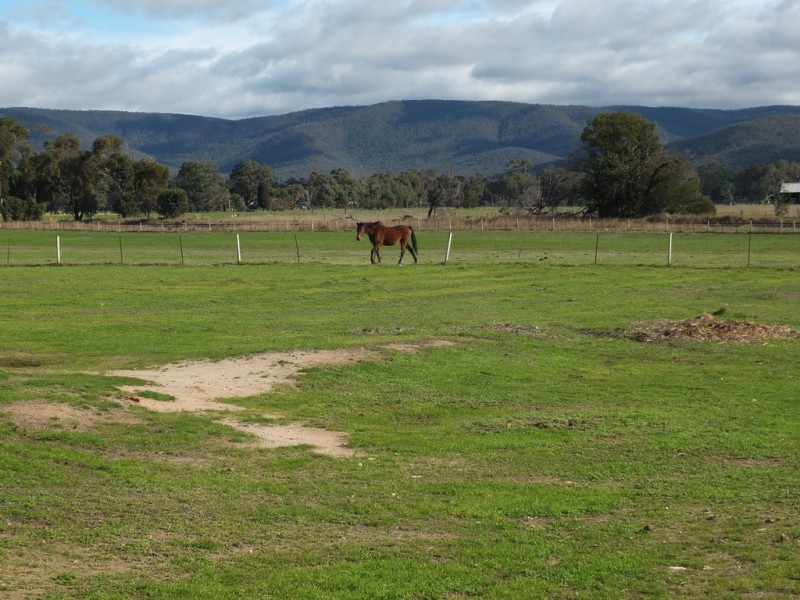 TP15956 Part 3 Dawsons Road, Avoca VIC 3467