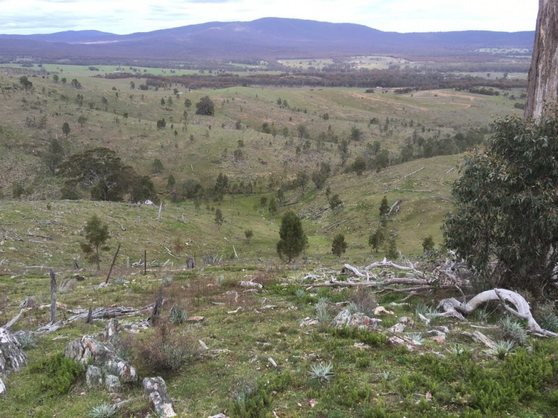 CA17 Johnsons Gully Road, Barkly VIC 3384