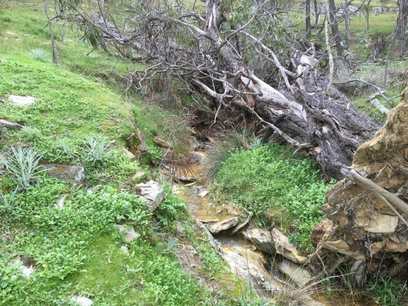 CA17 Johnsons Gully Road, Barkly VIC 3384