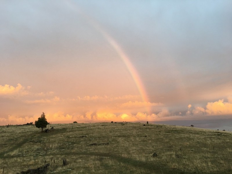 CA17 Johnsons Gully Road, Barkly VIC 3384