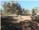 CA19 Johnsons Gully Road, Barkly VIC 3384