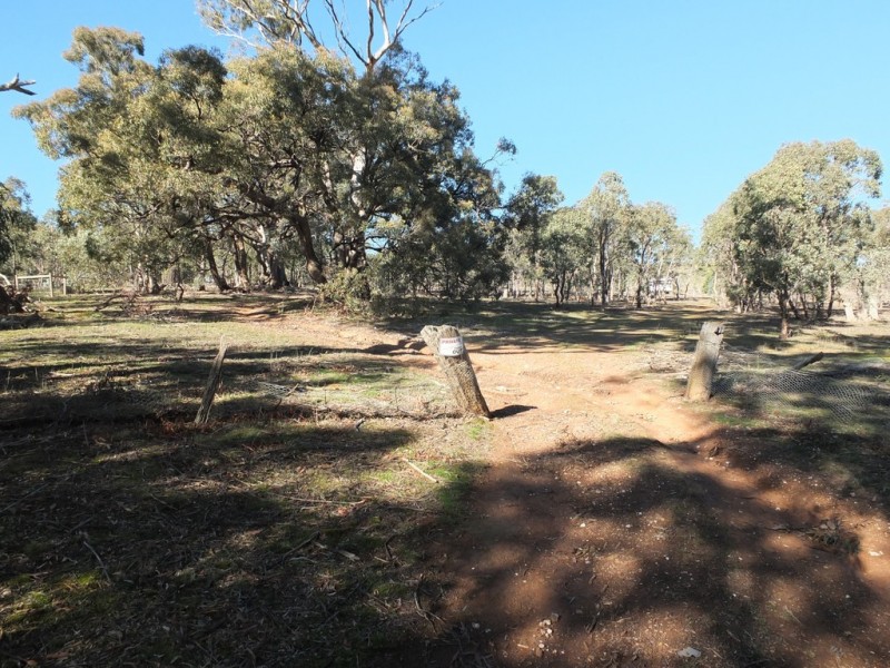 CA19 Johnsons Gully Road, Barkly VIC 3384